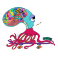 Odsock